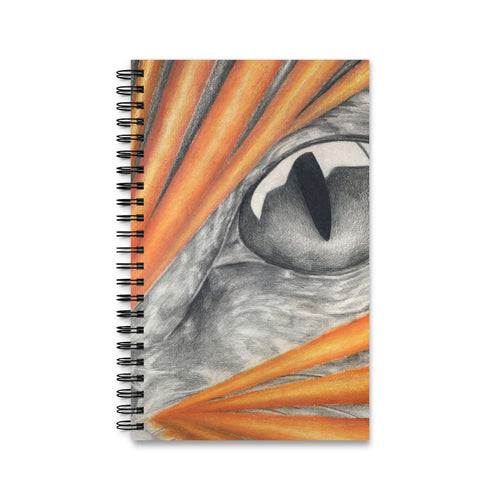 Cat Rays Spiral Journal (EU)